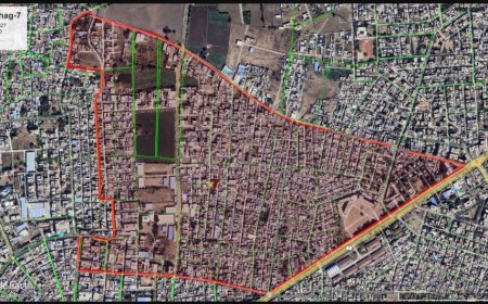 प्रभाग ७